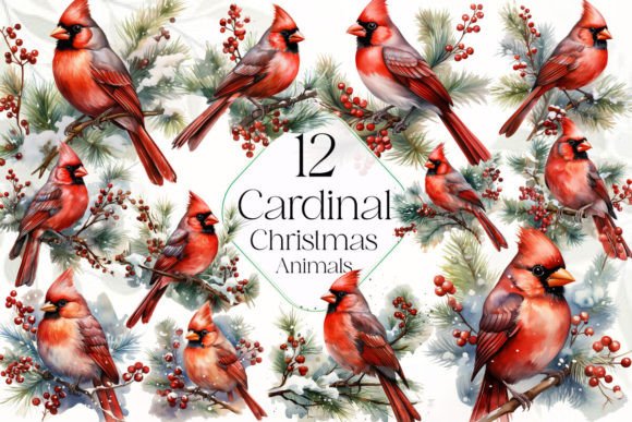 Cardinal Christmas Sublimation Clipart Review